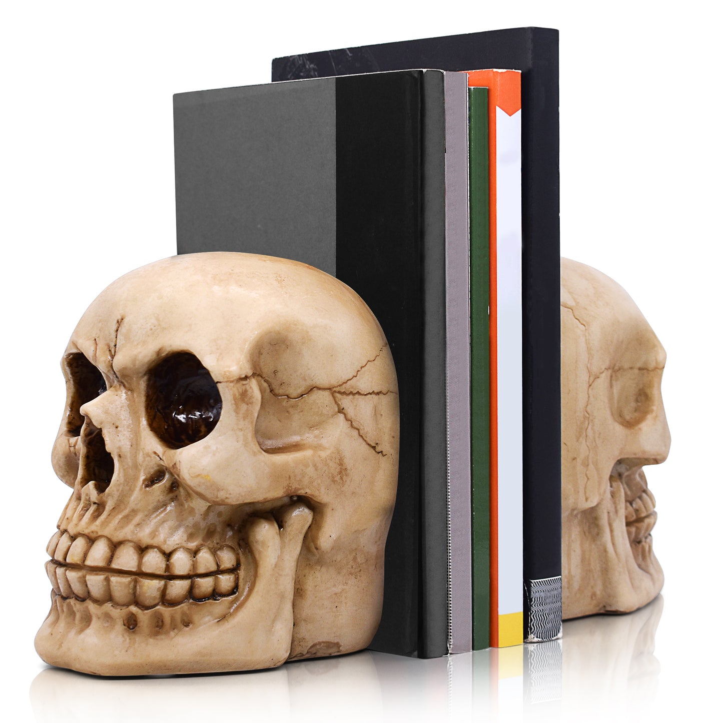 Skull Bookends - Joyvano